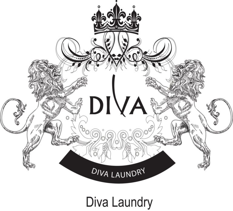 Divalaundry Logo 768x695