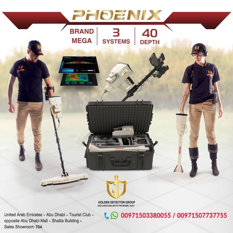 phoenix metal detector 4 768x768