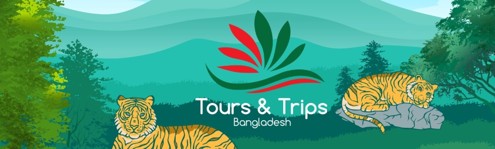 User banner image
