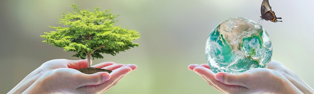 User banner image