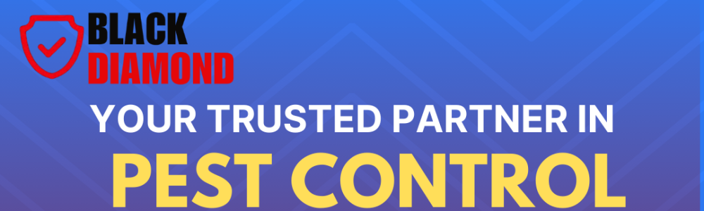 User banner image